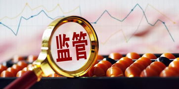 未雨绸缪 以智能科技监管推动社会经济咨询服务转型